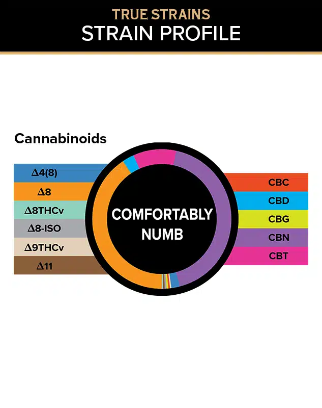 True Strains Gummies – Comfortably Numb